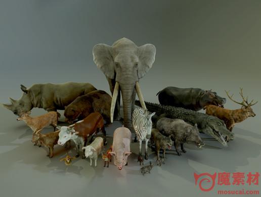 3D动物模型资源包 含全部动物 ANIMALS FULL PACK