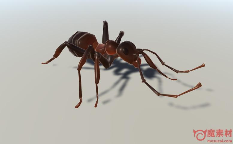 3D 蚂蚁模型下载ANT animated