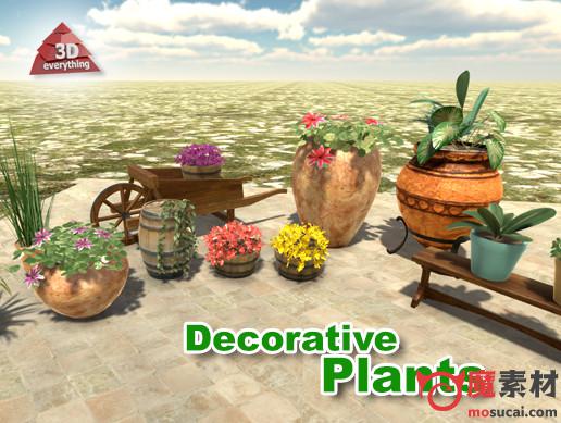 3D装饰植物Decorative Plants