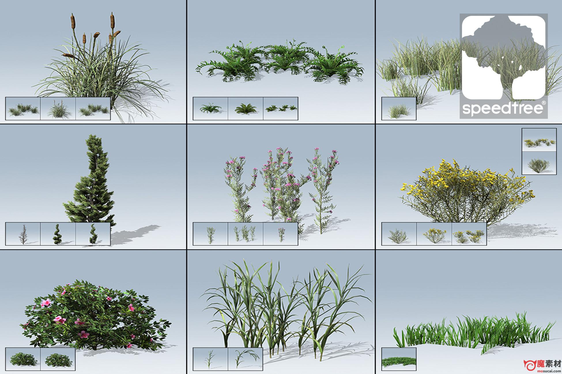 3D花草树木模型资源包下载Desktop Ground Cover Package