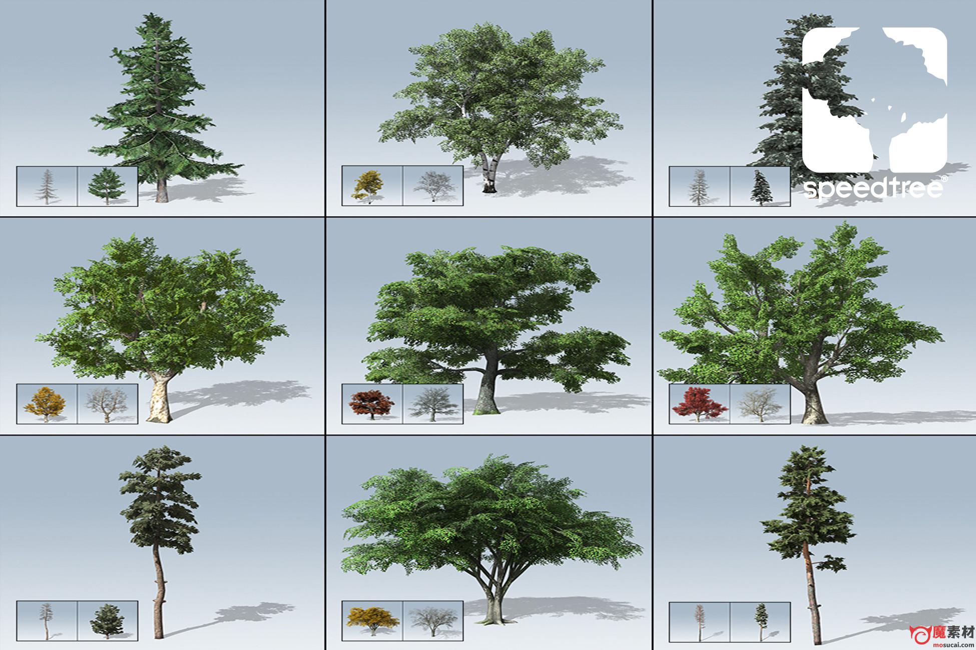 3D 树 松树 模型资源包Desktop Trees Package