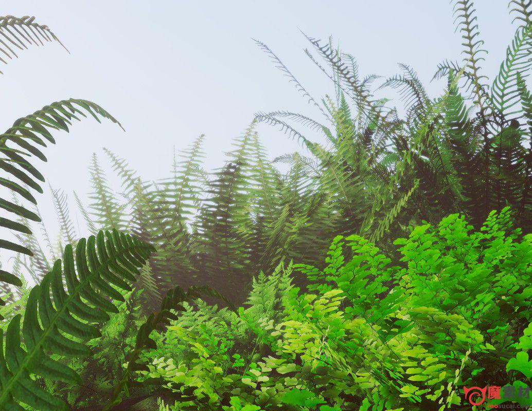 unity 3D 植被 草 蕨类植物的世界 模型资源下载FERNS World v1.2