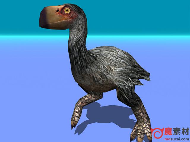 3D始祖鸟模型动作Gastornis (Diatryma) prehistoric flightless bird