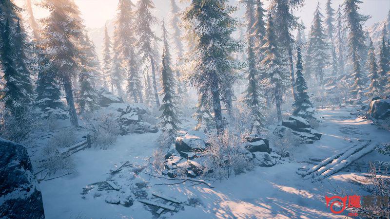 UE 冬季雪景自然环境包Winter Environment – Nature Pack